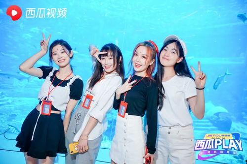 三亚网红爆料视频最新,揭秘隐藏版网红打卡地!